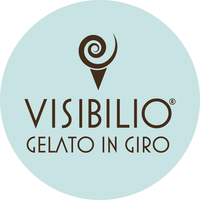 Visibilio S.r.l logo, Visibilio S.r.l contact details