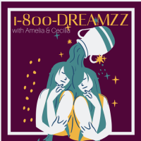 1-800-Dreamzz logo, 1-800-Dreamzz contact details