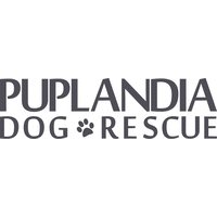 Puplandia Dog Rescue logo, Puplandia Dog Rescue contact details