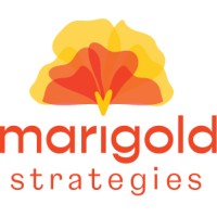 Marigold Strategies logo, Marigold Strategies contact details