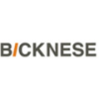 Bicknese B.V. logo, Bicknese B.V. contact details