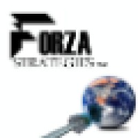 Forza Strategies LLC logo, Forza Strategies LLC contact details