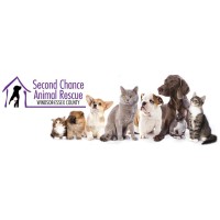 Second Chance Animal Rescue of Windsor-Essex County logo, Second Chance Animal Rescue of Windsor-Essex County contact details