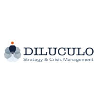 DILUCULO Strategy and Risk Management logo, DILUCULO Strategy and Risk Management contact details