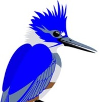 Kingfisher Financial logo, Kingfisher Financial contact details