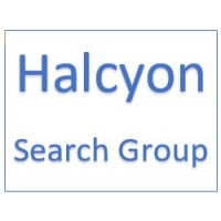 Halcyon Search Group logo, Halcyon Search Group contact details