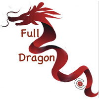 Full dragon sa de cv logo, Full dragon sa de cv contact details