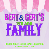 BERT AND GERTS LTD logo, BERT AND GERTS LTD contact details