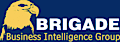 Brigade Business Intelligence Group logo, Brigade Business Intelligence Group contact details