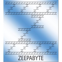 Zeepabyte, Inc.: 