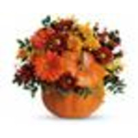 West View Florist Inc logo, West View Florist Inc contact details