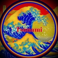 Tsunami logo, Tsunami contact details