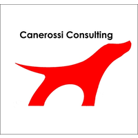 Canerossi Consulting, Inc. logo, Canerossi Consulting, Inc. contact details