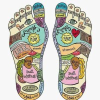 Firmly Planted Reflexology logo, Firmly Planted Reflexology contact details