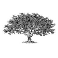 Healing Tree Family Practice logo, Healing Tree Family Practice contact details