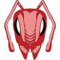 FireANTS Crypto Inc. logo, FireANTS Crypto Inc. contact details