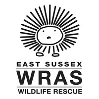 East Sussex Wildlife Rescue & Ambulance Service (WRAS) logo, East Sussex Wildlife Rescue & Ambulance Service (WRAS) contact details