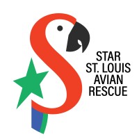 STAR ST LOUIS AVIAN RESCUE INC logo, STAR ST LOUIS AVIAN RESCUE INC contact details