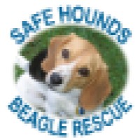 Safe Hounds Beagle Rescue, Inc. logo, Safe Hounds Beagle Rescue, Inc. contact details