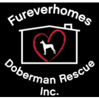 Fureverhomes Doberman Rescue, Inc. logo, Fureverhomes Doberman Rescue, Inc. contact details