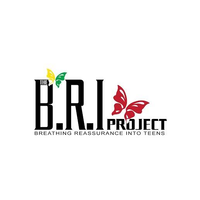 The BRI Project logo, The BRI Project contact details