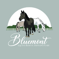 Bluemont Sanctuary logo, Bluemont Sanctuary contact details