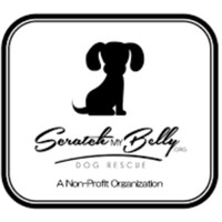 ScratchMyBelly.org logo, ScratchMyBelly.org contact details