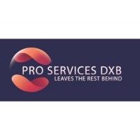 PRO SERVICES DXB logo, PRO SERVICES DXB contact details