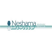 Neshama Animal Rescue logo, Neshama Animal Rescue contact details