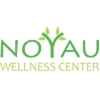 Noyau Wellness Center logo, Noyau Wellness Center contact details