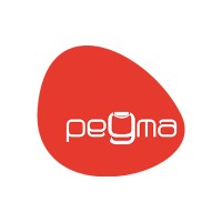 Pegma Resourcess Pvt. Ltd. logo, Pegma Resourcess Pvt. Ltd. contact details