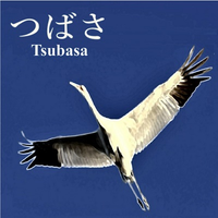 つばさ | Tsubasa logo, つばさ | Tsubasa contact details