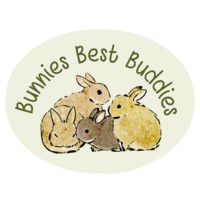 Bunnies' Best Buddies logo, Bunnies' Best Buddies contact details