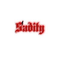 Sadity Enterprise logo, Sadity Enterprise contact details