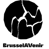 BrusselAVenir logo, BrusselAVenir contact details