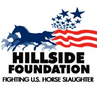 Hillside Foundation logo, Hillside Foundation contact details