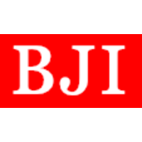 BJI Consulting logo, BJI Consulting contact details