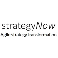 strategyNow LLC logo, strategyNow LLC contact details