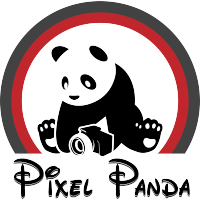 Pixel Panda Studio Bangalore logo, Pixel Panda Studio Bangalore contact details