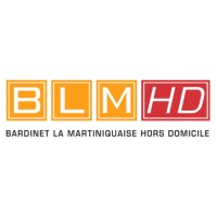 BLMHD logo, BLMHD contact details