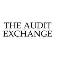 THE AUDIT EXCHANGE logo, THE AUDIT EXCHANGE contact details