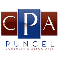 Puncel Consulting Associates logo, Puncel Consulting Associates contact details