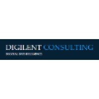 Digilent Consulting, LLC logo, Digilent Consulting, LLC contact details