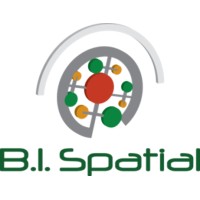 B. I. Spatial logo, B. I. Spatial contact details