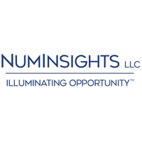 NUMINSIGHTS LLC logo, NUMINSIGHTS LLC contact details