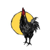 Black Chicken Host logo, Black Chicken Host contact details