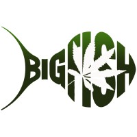 Big Fish Canna logo, Big Fish Canna contact details