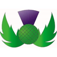 Thistle Education Solutions Ltd logo, Thistle Education Solutions Ltd contact details