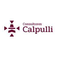 Consultores Calpulli logo, Consultores Calpulli contact details