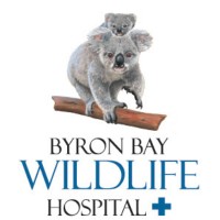 Byron Bay Wildlife Hospital logo, Byron Bay Wildlife Hospital contact details